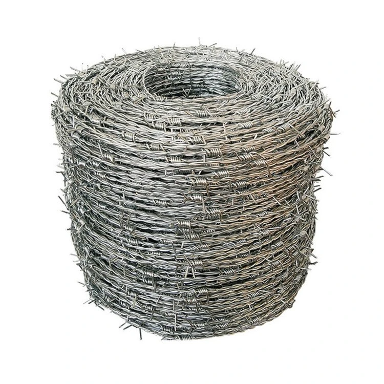 Filo spinato